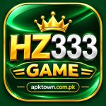 hz333 game